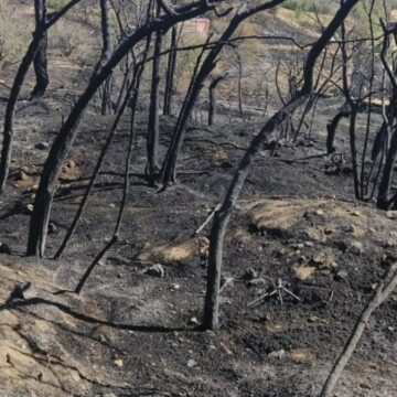 Nevşehir’de ağaçlık alanda yangın: 100 dönüm arazi kül oldu