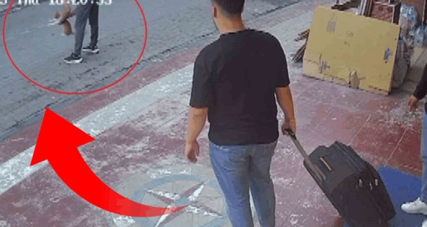 Ölmek üzere olan kediyi Heimlich manevrası kurtardı: O anlar kamerada