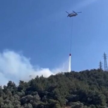 Orman Genel Müdürlüğü: 8 yangın kontrol altına alındı