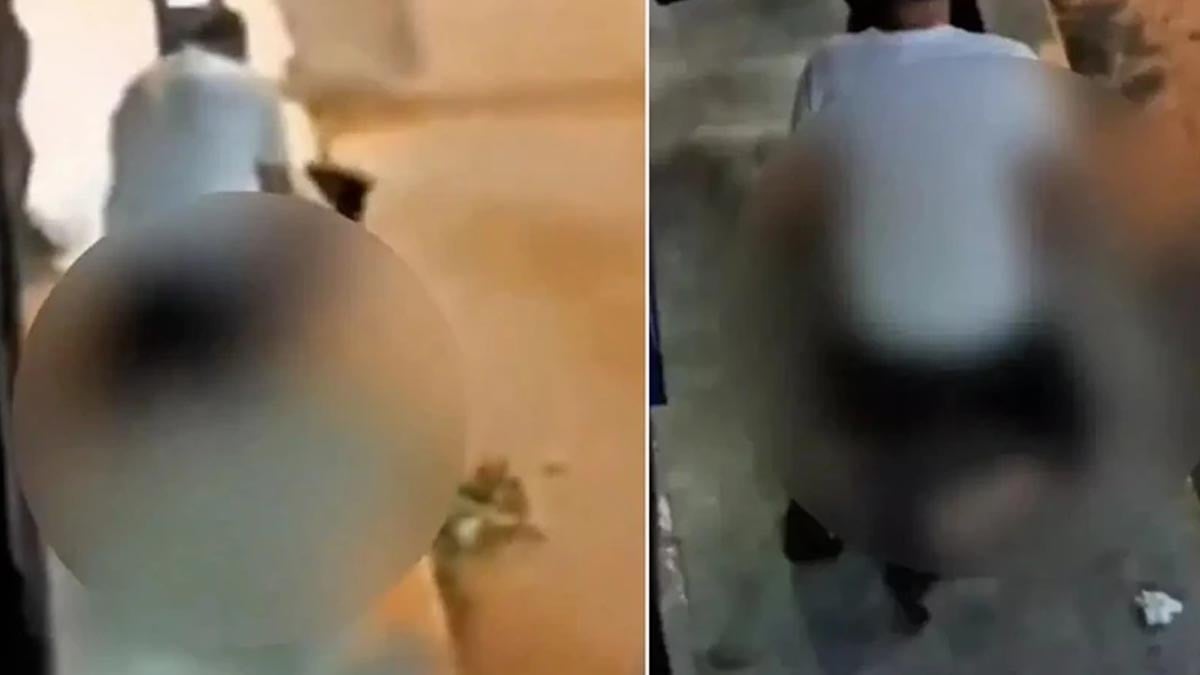 Pendik'te mide bulandıran olay! Köpeğe cinsel istismarda bulundu