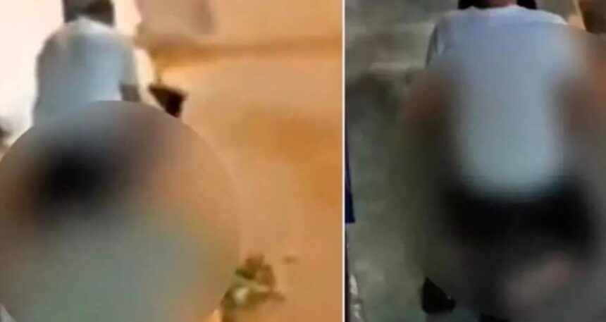 Pendik’te mide bulandıran olay! Köpeğe cinsel istismarda bulundu
