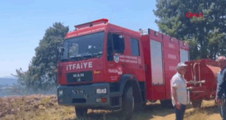 Sakarya’da 150 dönümlük buğday tarlası kül oldu