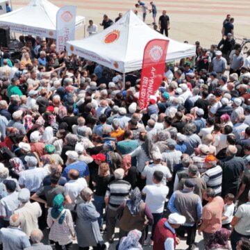 Sebze fiyatları artınca vatandaş bedava fide için birbirini ezdi