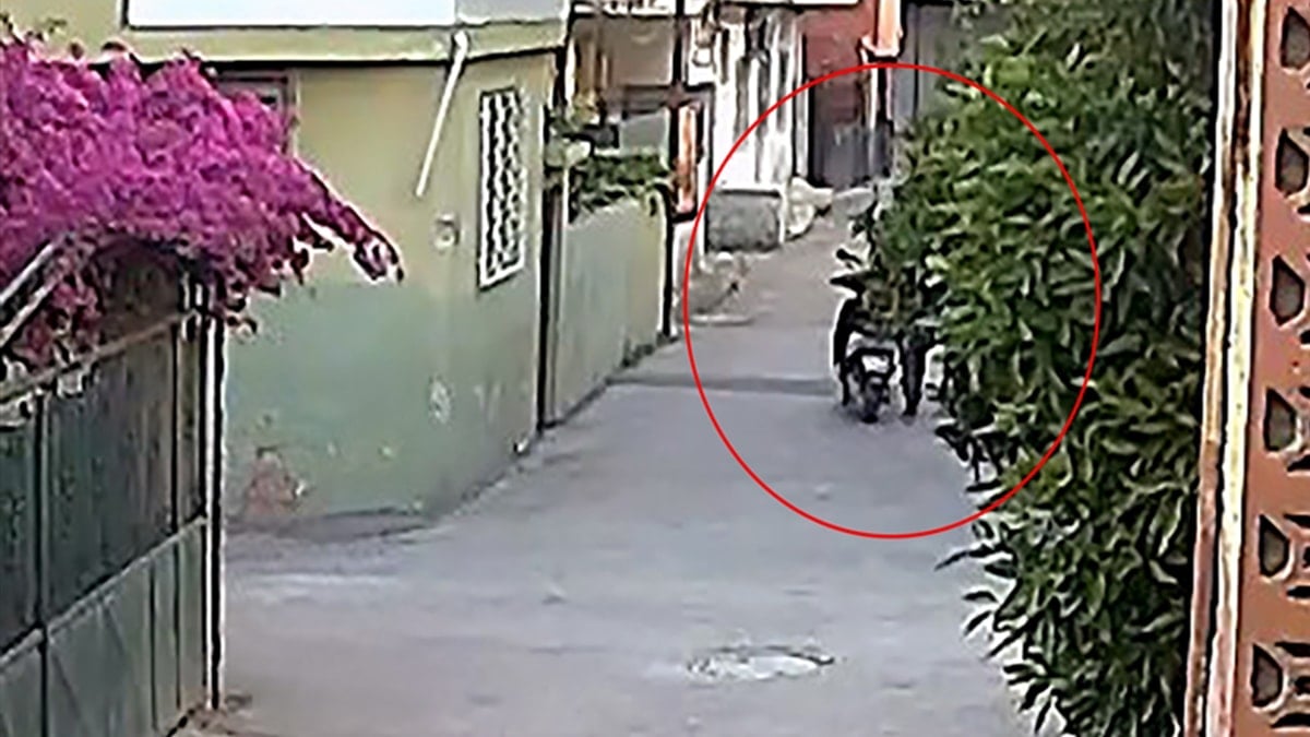 Şehrin kabusu oldular: 1 ayda 9 hırsızlık