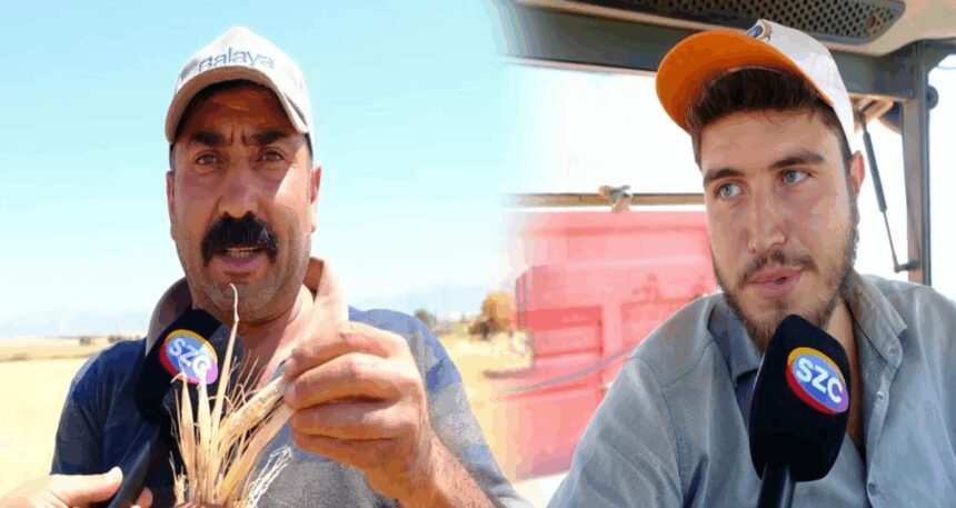 SÖZCÜ Konya’da çiftçilerle görüştü! Hububatta ‘hasat değil, zarar’ dönemi! Rekoltede büyük kayıp