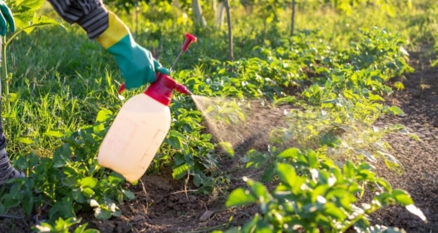 Tarım ilaçları tehlike saçıyor: Yeni bir pandemi gelebilir mi?