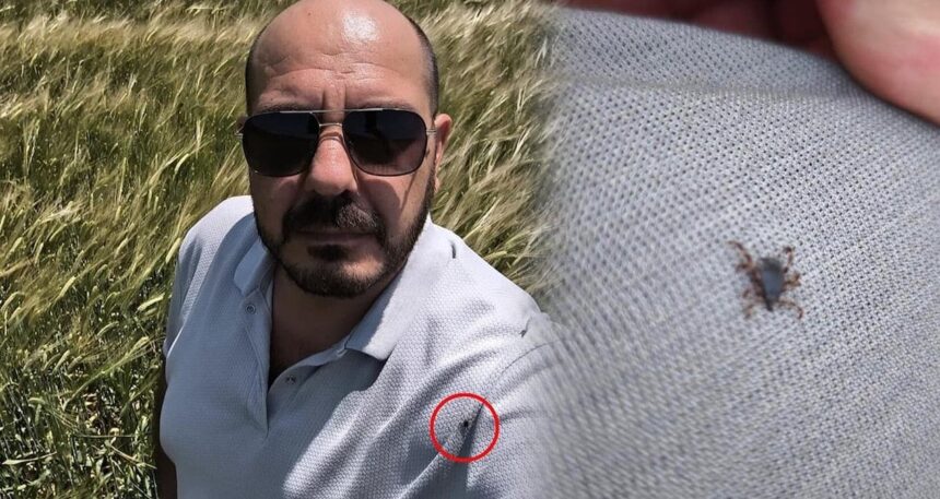 Tarlada selfie yaparken öyle bir şey fark etti ki… Aniden harekete geçti