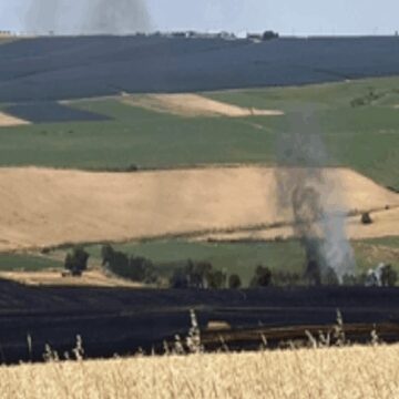 Tekirdağ’da 70 dönüm buğday yandı