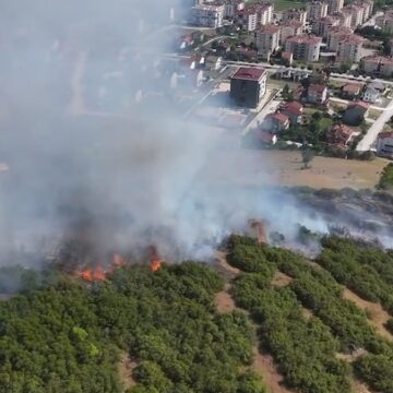 Tokat’ta yangın: 15 dönüm alan küle döndü