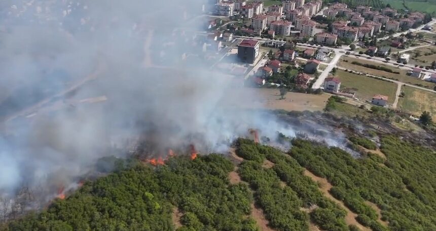 Tokat’ta yangın: 15 dönüm alan küle döndü
