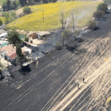 Trakya’da iki haftada 2 bin 750 dekar ekili alan yandı