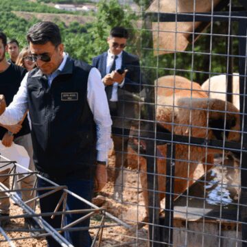 Tunceli’de sokak hayvanlarına güvenli yaşam alanı kuruluyor