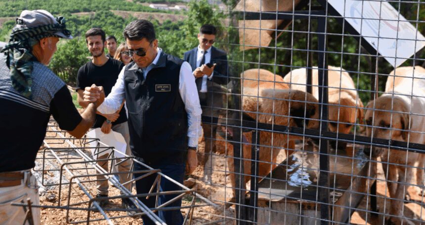 Tunceli’de sokak hayvanlarına güvenli yaşam alanı kuruluyor