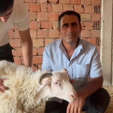 Üç katlı binanın üzerine kaçtı, kesilmekten kurtuldu