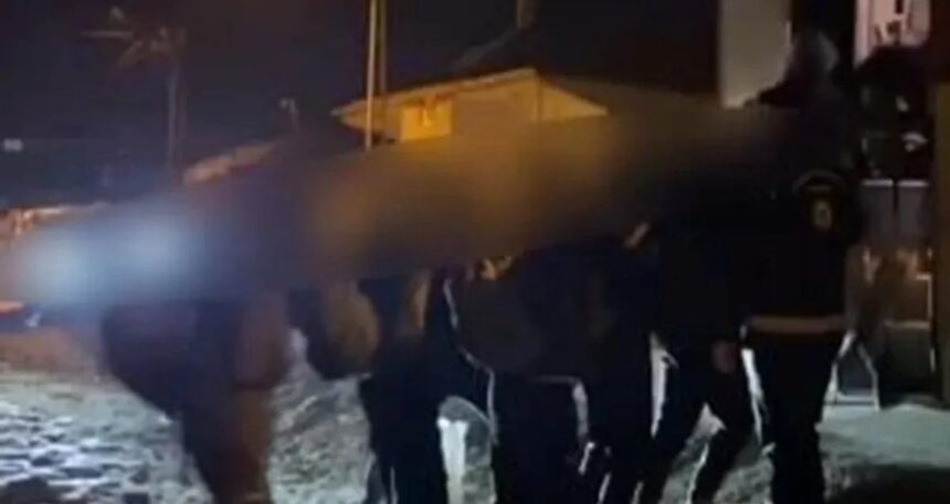 Van’da göçmen kaçakçılığı operasyonları: 5 şüpheli tutuklandı