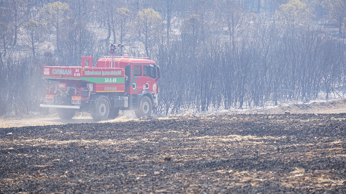 Yangın her geçen saat daha korkunç bir hal alıyor: Alevler evlere yaklaştı
