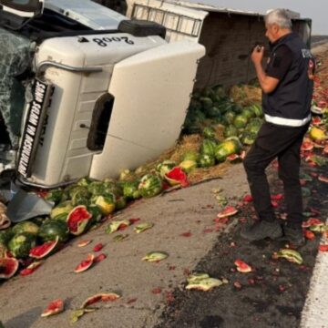 Yüzlerce karpuz yola saçıldı!