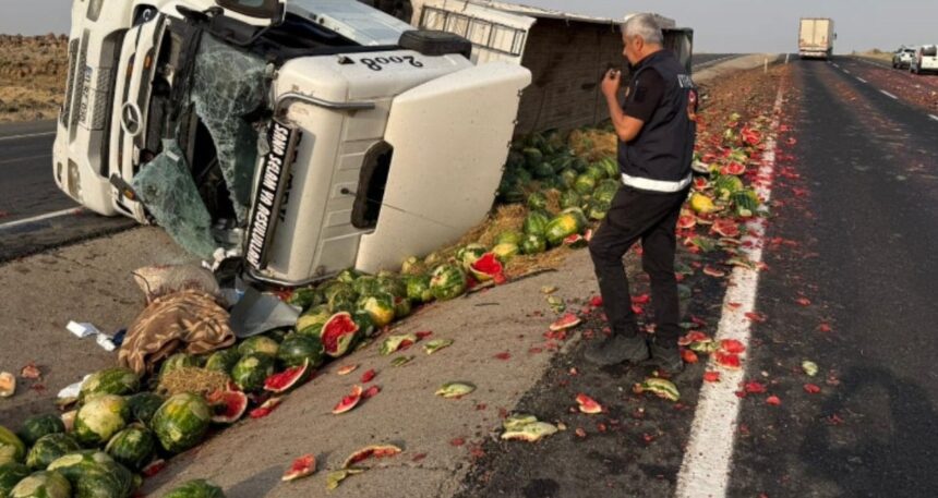 Yüzlerce karpuz yola saçıldı!