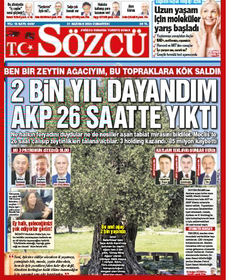 Zeytin köylüsü açlıktan ölür