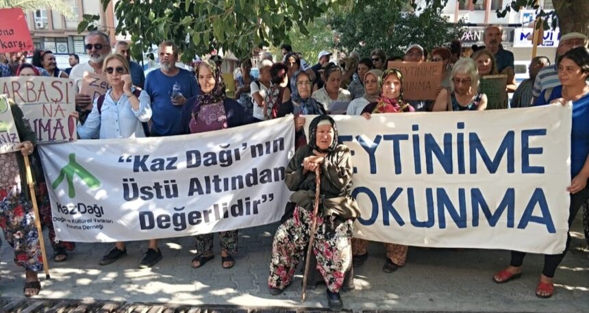 Zeytin köylüsü açlıktan ölür