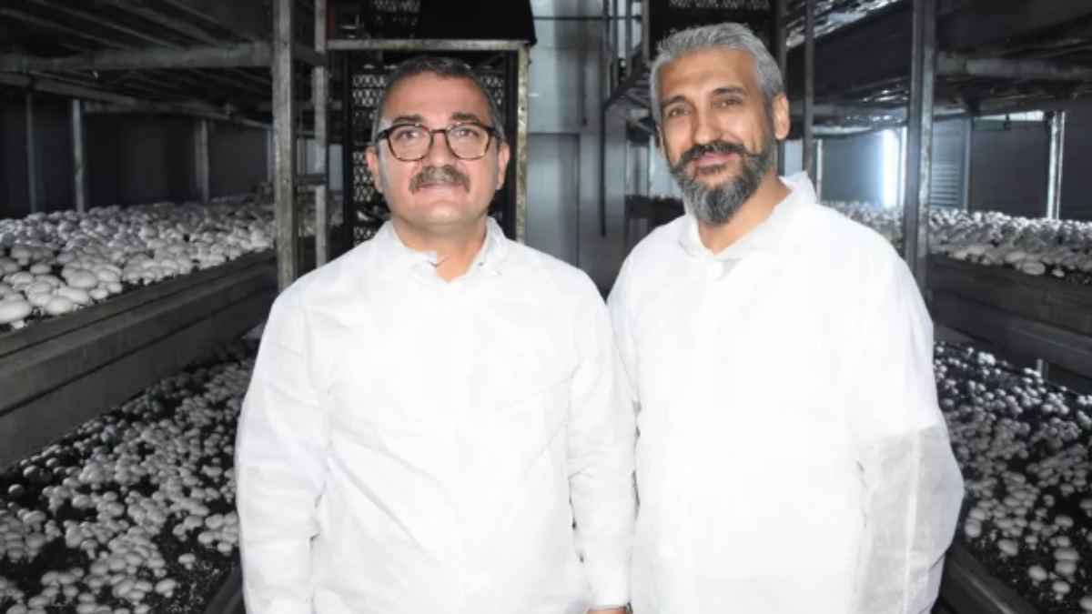 10 yıllık memurluğunu yakıp bu işe girdi: Ayda 15 ton satıyor, çok kazançlı