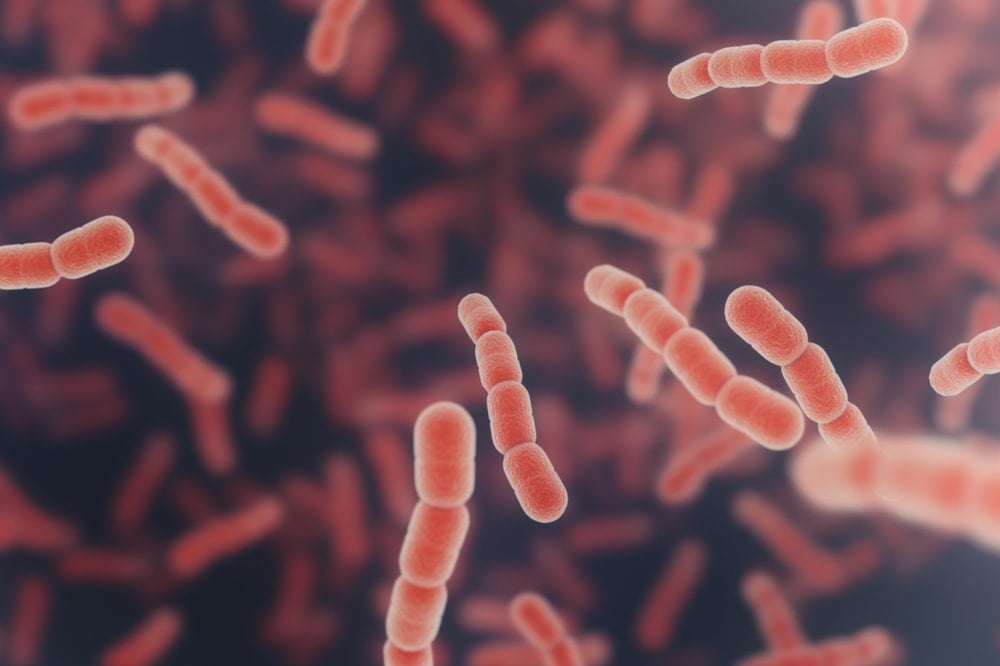 Antibiyotiğe dirençli bakteri hızla yayılıyor! Avrupa'da 11 ülkede görüldü