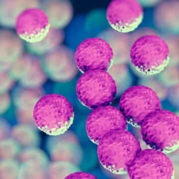 Antibiyotiğe dirençli bakteri hızla yayılıyor! Avrupa’da 11 ülkede görüldü