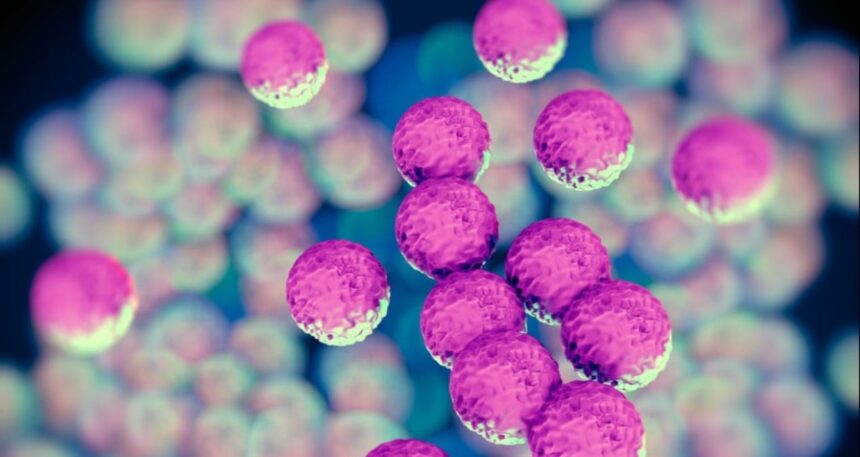 Antibiyotiğe dirençli bakteri hızla yayılıyor! Avrupa’da 11 ülkede görüldü