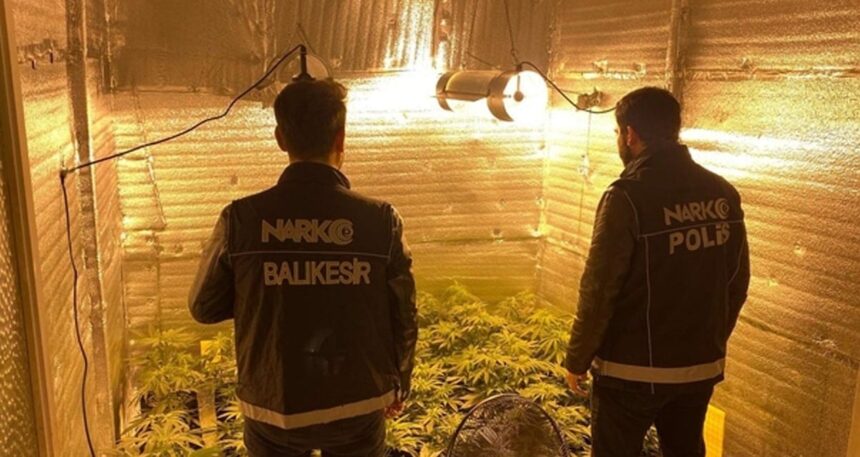 Ayvalık’ta uyuşturucu operasyonu: 7 Binden fazla madde ele geçirildi