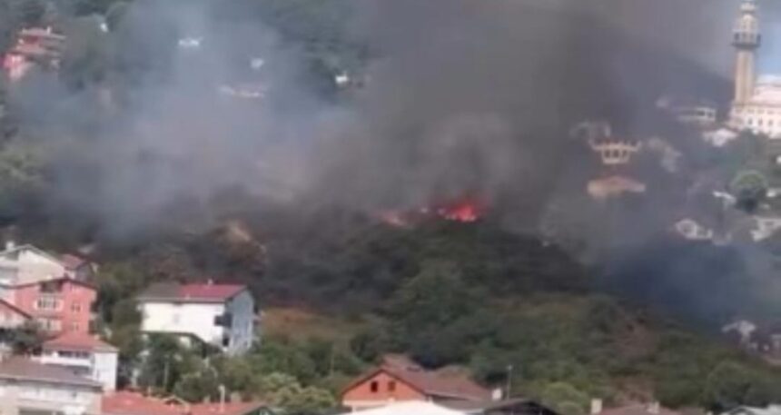 Beykoz’da orman yangını