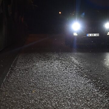 binlercesi-ayni-gun-ciftlesip-topluca-olduler-5Kl3TTxU.jpg Binlercesi aynı gün çiftleşip topluca öldüler