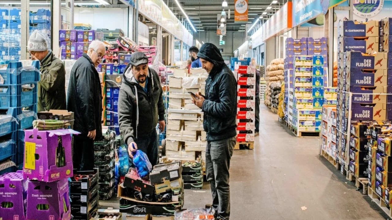 Bir garip haber: hali sıçanlar bastı , yakalayan Türk'e 25.000 Euro ceza!