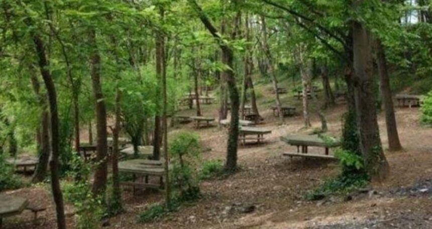 Bolu’da ateşli pikniğe yasak