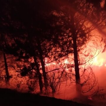 Bolu’da örtü yangını söndürüldü
