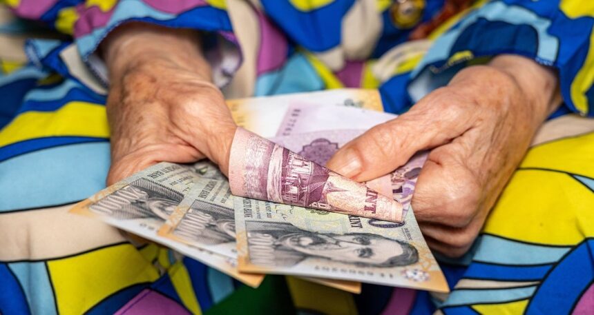 Bu da oldu: Saati 900 liraya büyükanne kiralıyorlar
