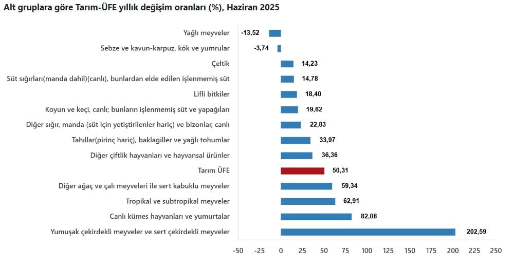 Bu kez TUİK bile gizleyemedi