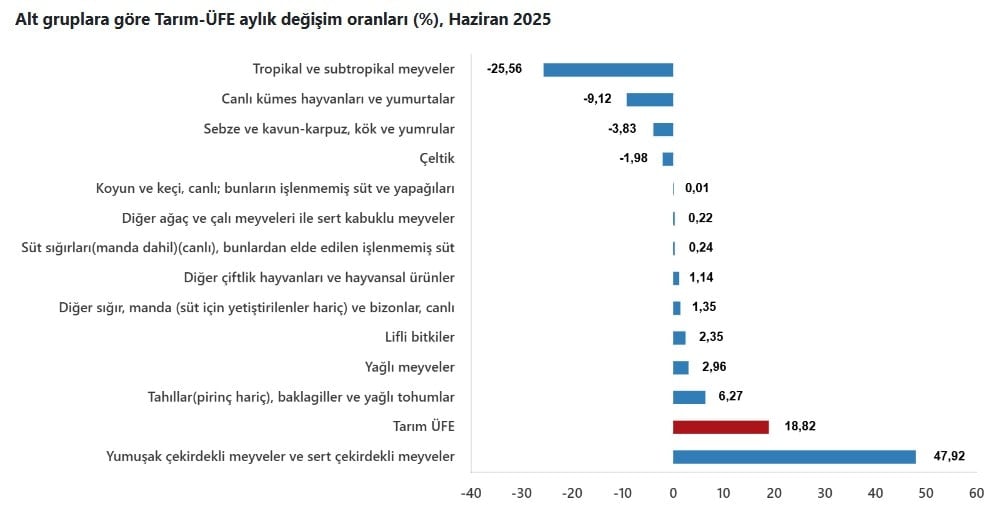 Bu kez TUİK bile gizleyemedi