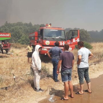 Çanakkale’deki orman yangınlarına ilişkin 26 kişi hakkında adli işlem başlatıldı