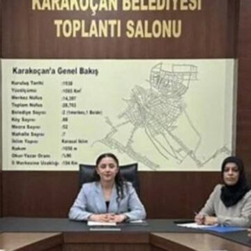 DEM Parti’de ‘Eş Başkanlık’ karmaşası… İstifa etti ama hala görevde gibi