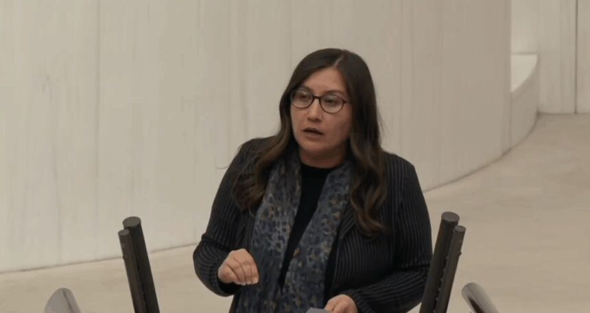 DEM Partili Çubuk: ‘Yüksek güvenlikli cezaevleri ve “S tipi” hapishaneler kapatılmalı’