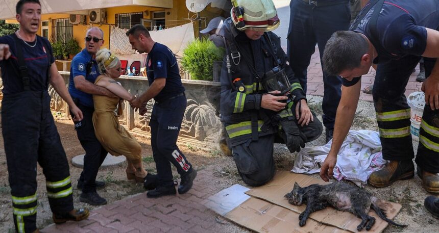 Dumandan etkilenen kedinin imdadına itfaiye ekipleri yetişti, sahibi gözyaşlarına boğuldu