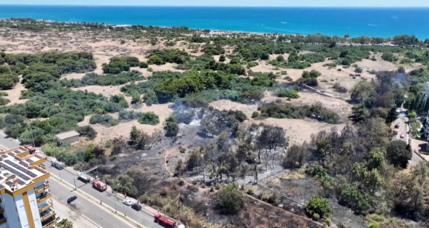 Dünyada sadece bir yerde yetişiyordu… Antalya’daki yangın o türü bitirdi!