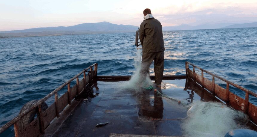 Dünya’da sadece Van’da yetişiyor: Bir yıldır beklenen tarih geldi