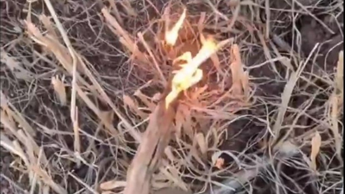 Kanayan yaramızdı; Anız yakıp paylaşan çocuk gözaltına alındı!