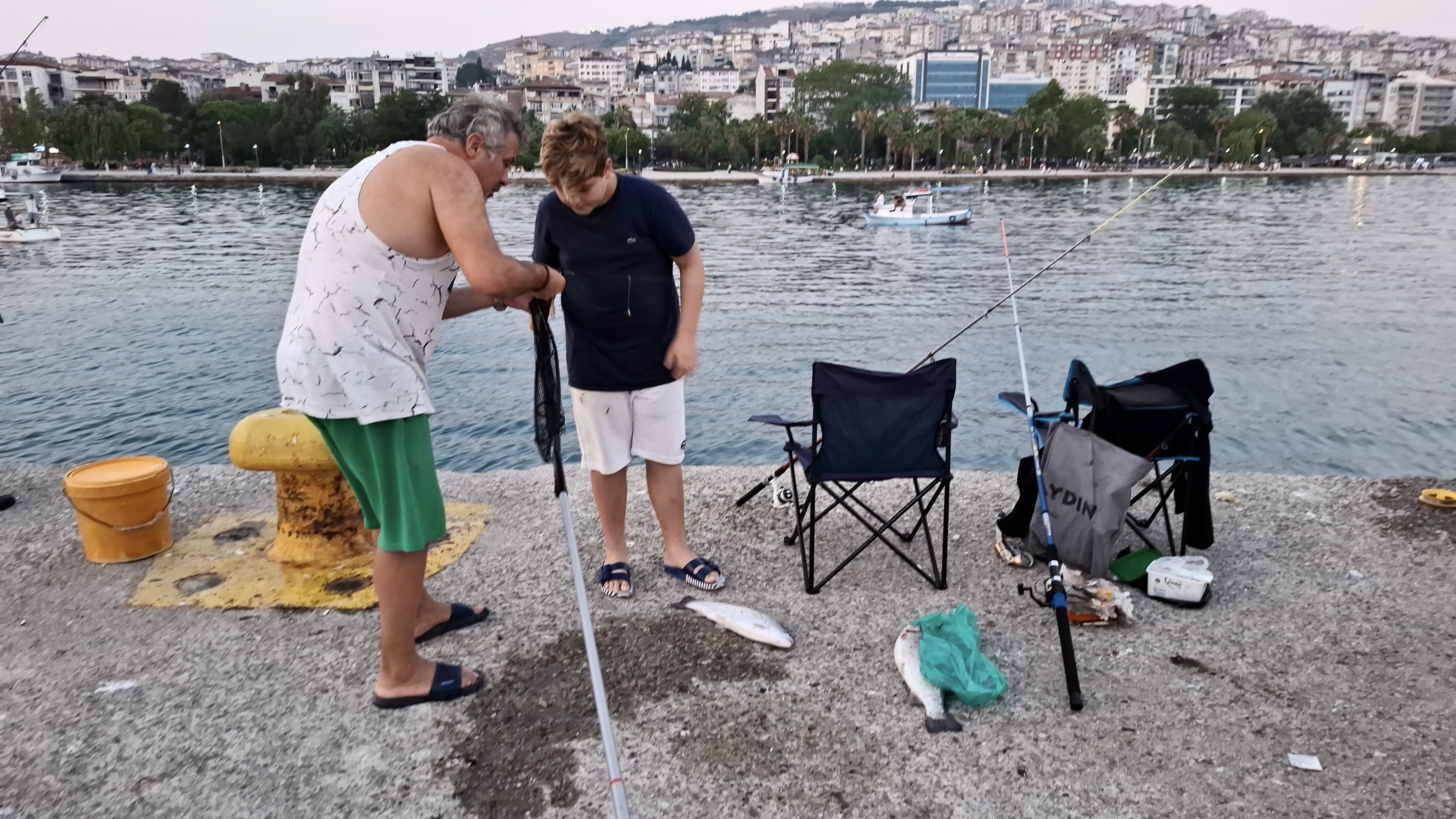 Karadeniz'de sular aniden soğudu, balıklar kıyıya vurdu
