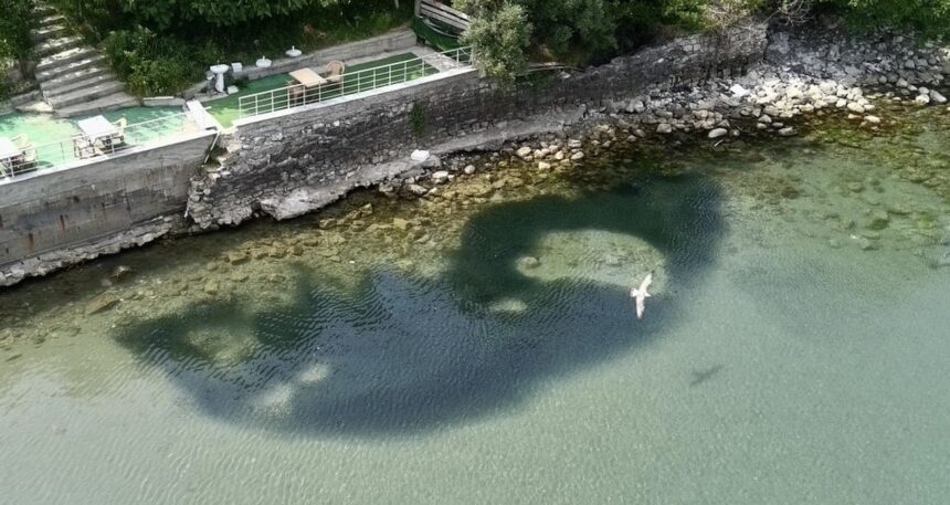 Karadeniz’de sular aniden soğudu, balıklar kıyıya vurdu