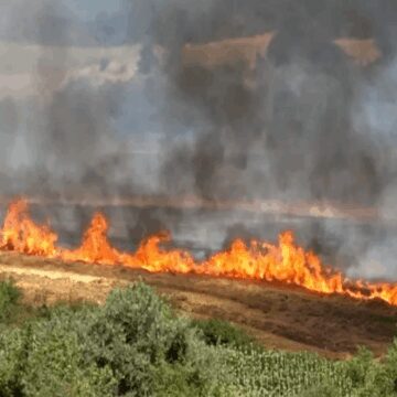 Kırklareli’ndeki yangın 50 dekar alana zarar verdi