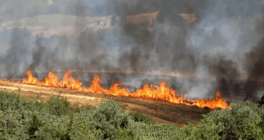 Kırklareli’ndeki yangın 50 dekar alana zarar verdi