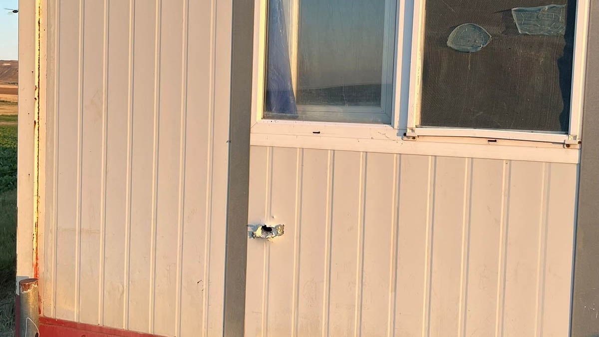 Konteynerde saldırıya uğrayan anne öldü, ölü numarası yapan oğlu kurtuldu