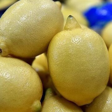 Limonu kiloyla almak hayal oldu! Pazarlarda tane fiyatı şoke etti